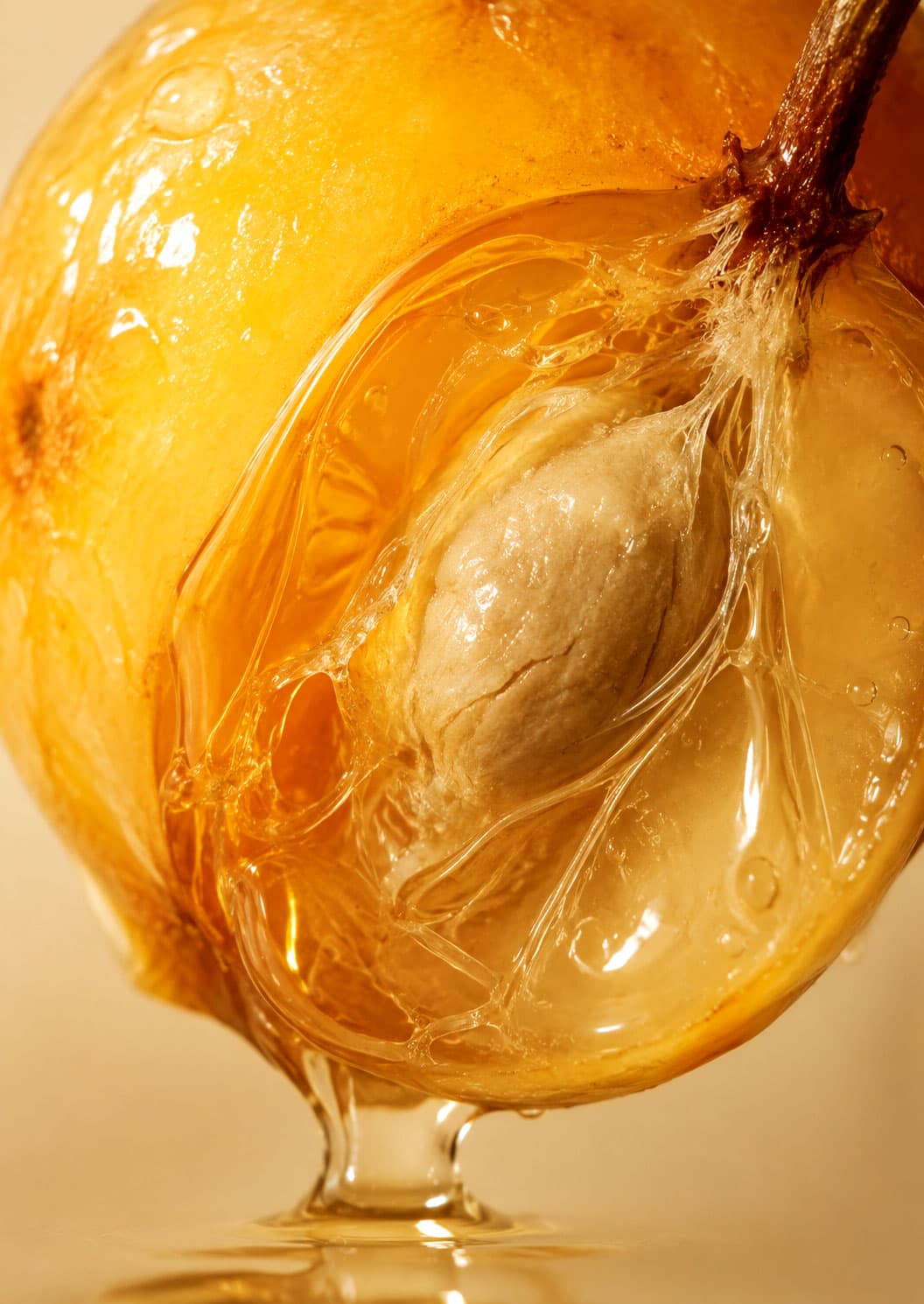 Marula fruit and oil, the source of Maru's marula seed oil